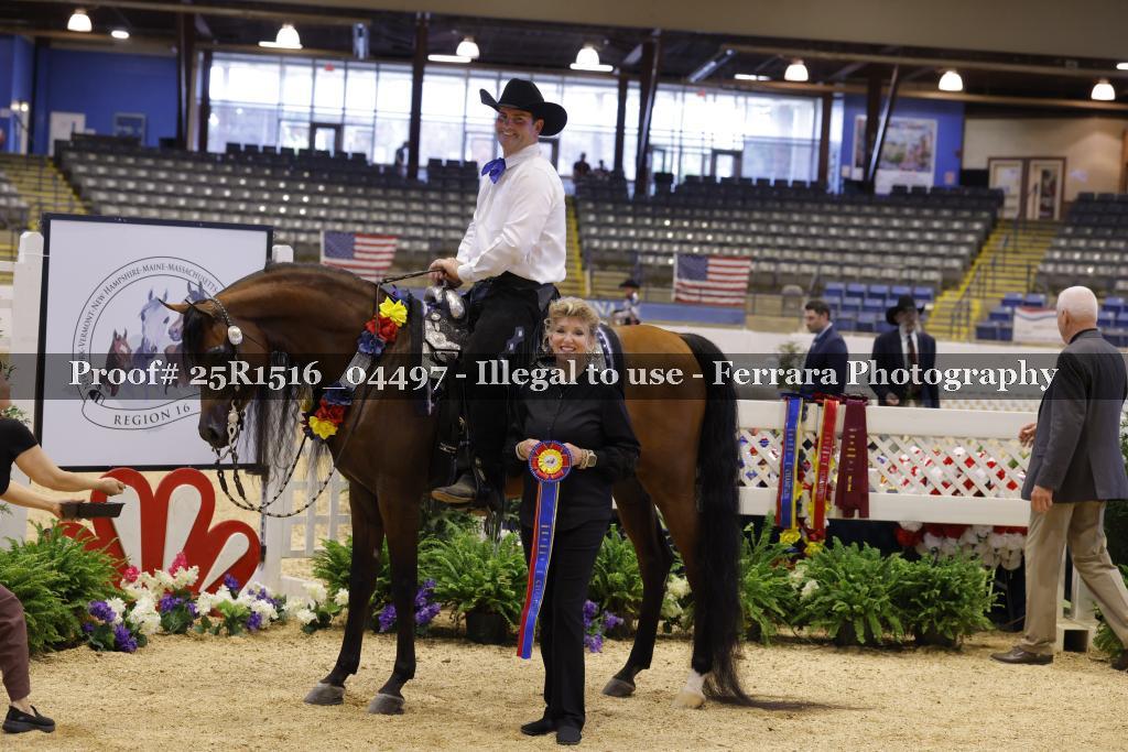 Proof 25R1516_04497