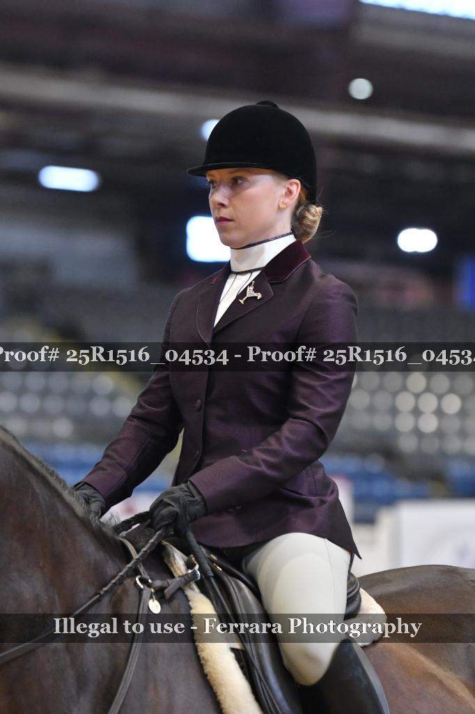 Proof 25R1516_04534
