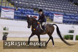 25R1516_04644 proof