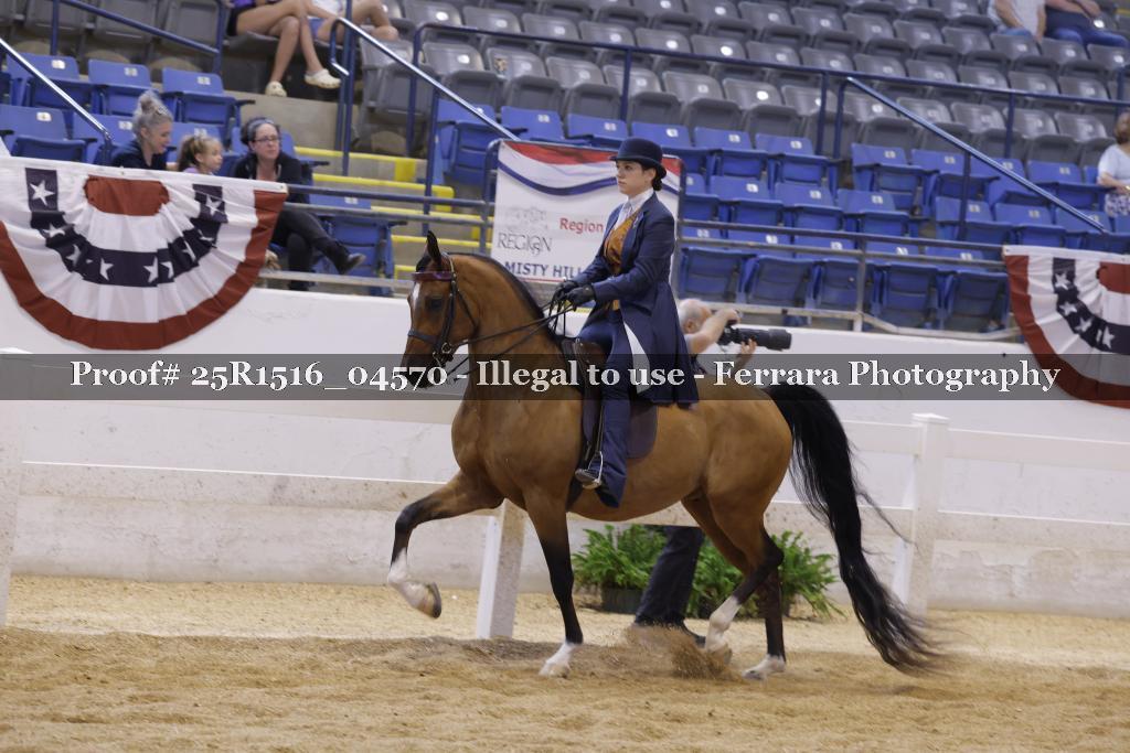 Proof 25R1516_04570