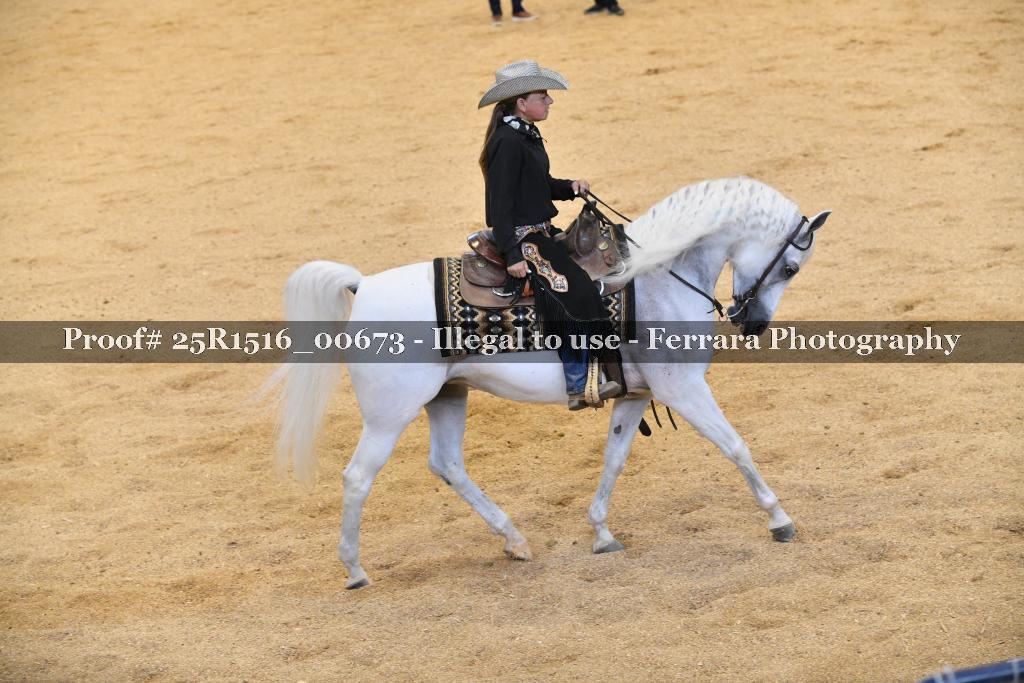 Proof 25R1516_00673