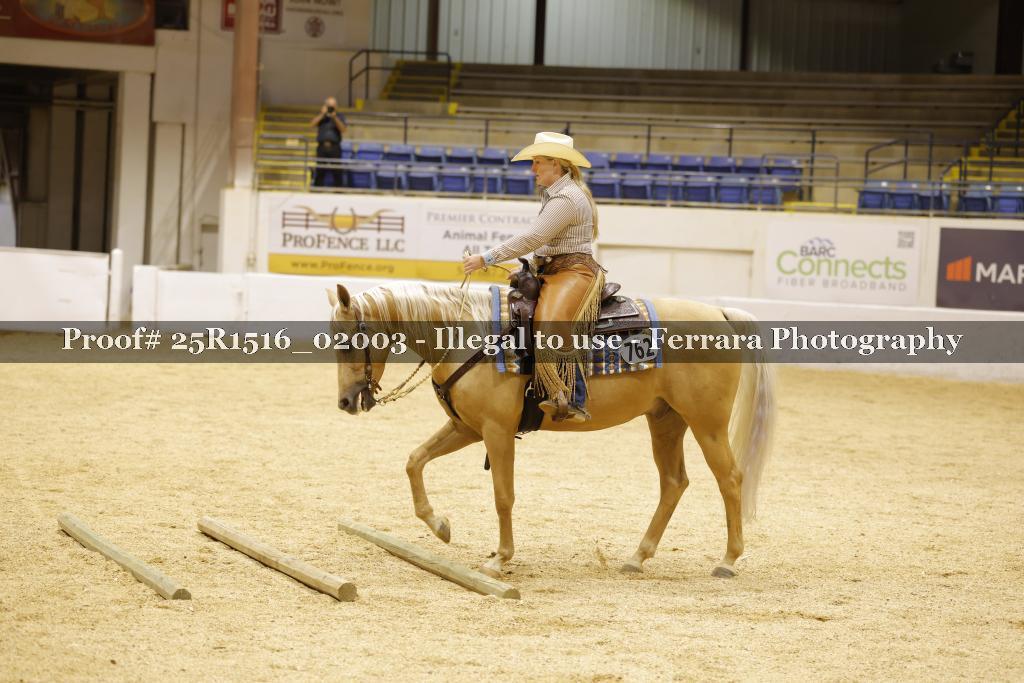 Proof 25R1516_02003