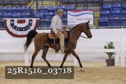 25R1516_03718 proof