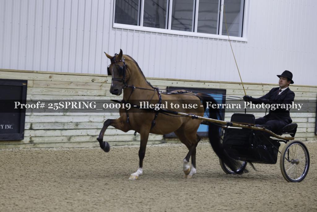 Proof 25SPRING_00019