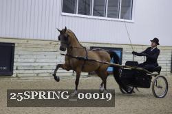 25SPRING_00019 proof