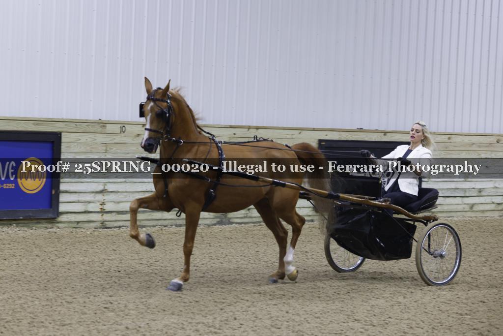 Proof 25SPRING_00020