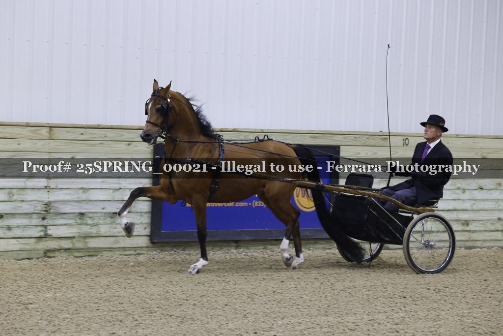 Proof 25SPRING_00021
