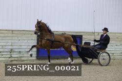 25SPRING_00021 proof