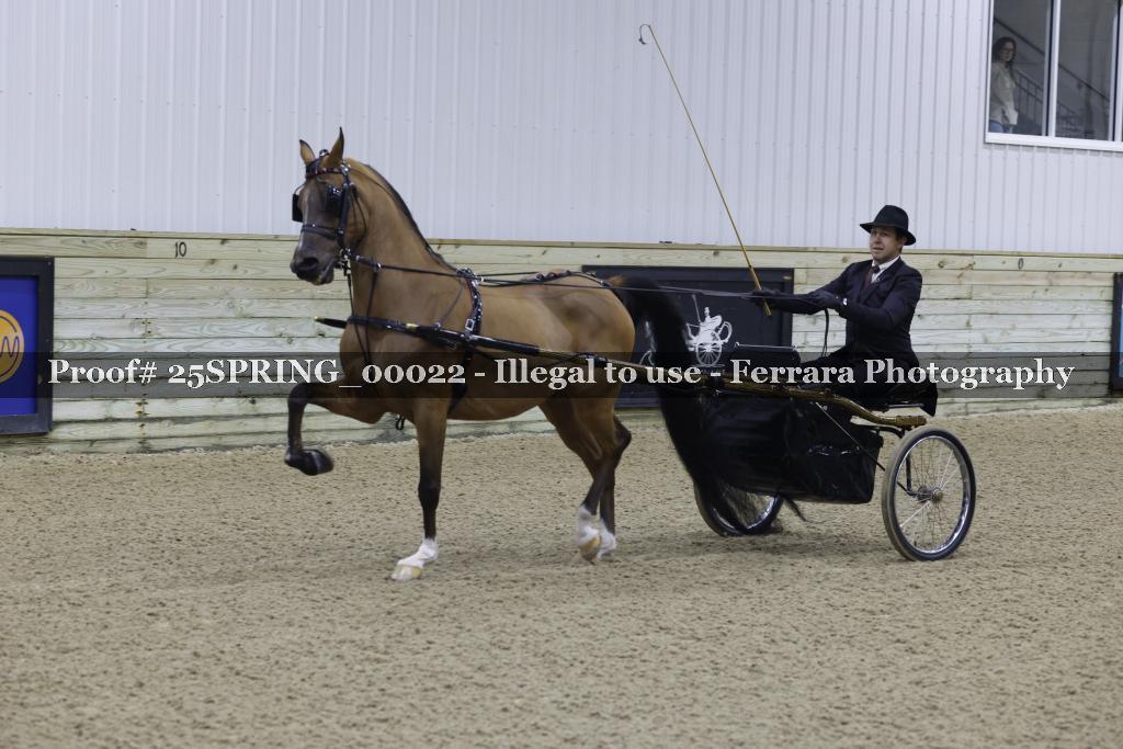 Proof 25SPRING_00022