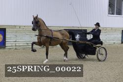 25SPRING_00022 proof