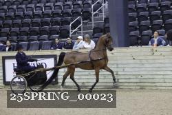 25SPRING_00023 proof