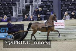 25SPRING_00024 proof