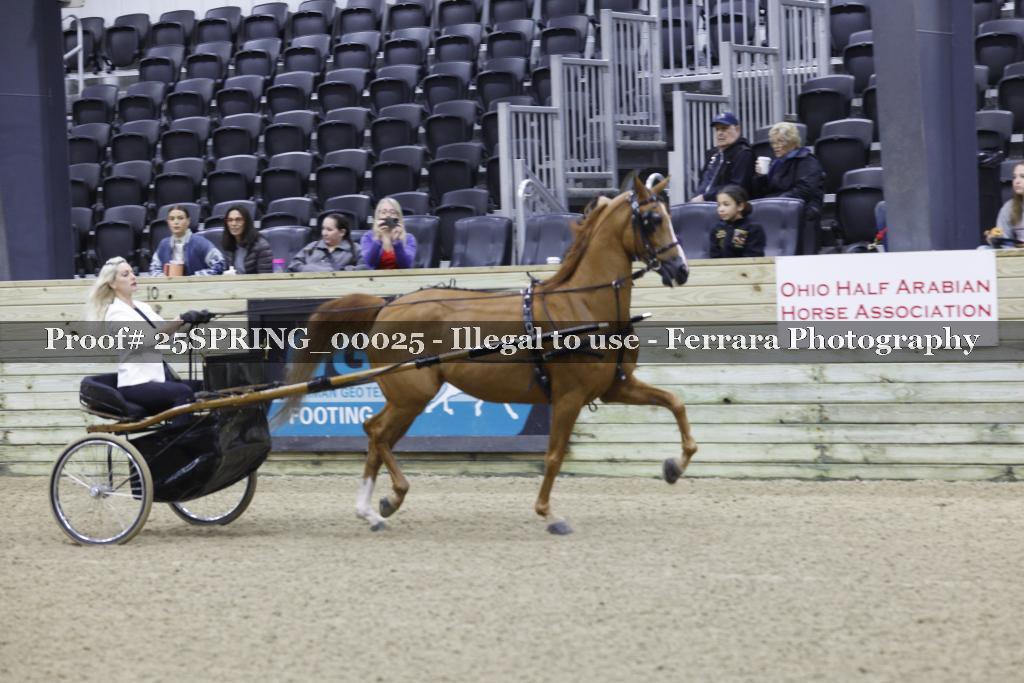 Proof 25SPRING_00025