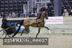 25SPRING_00027 proof