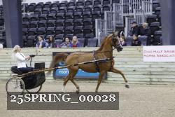 25SPRING_00028 proof