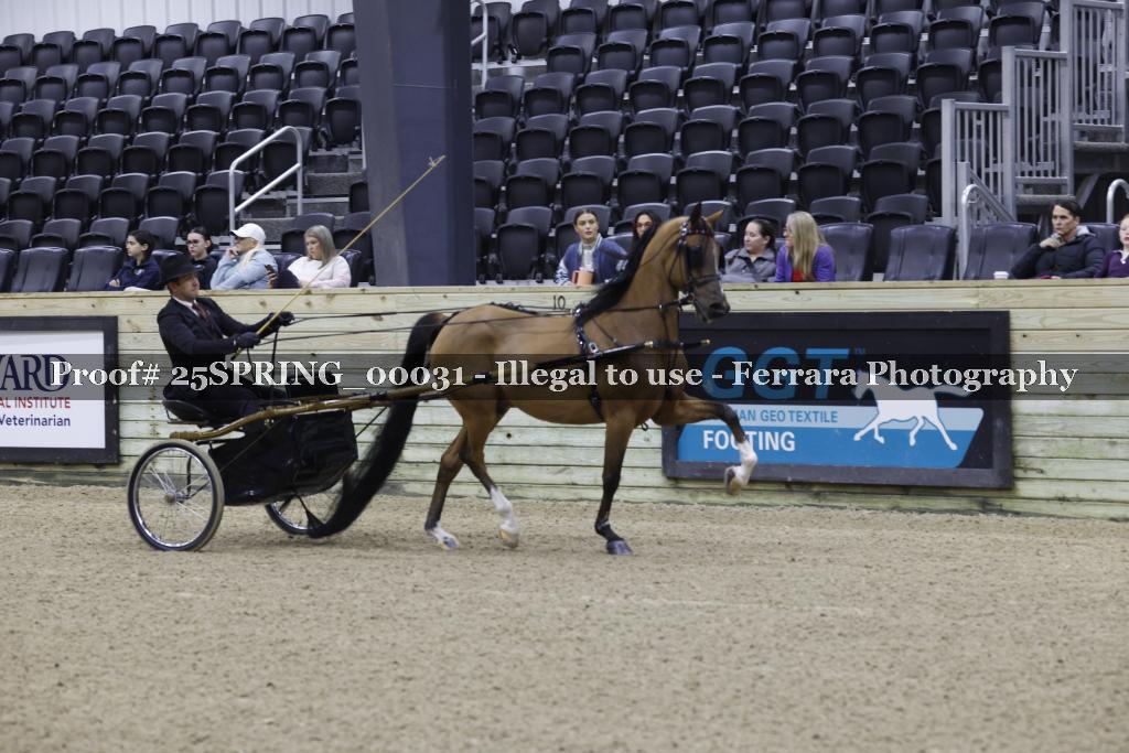 Proof 25SPRING_00031