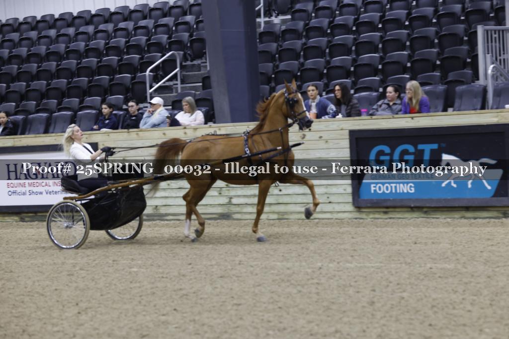 Proof 25SPRING_00032