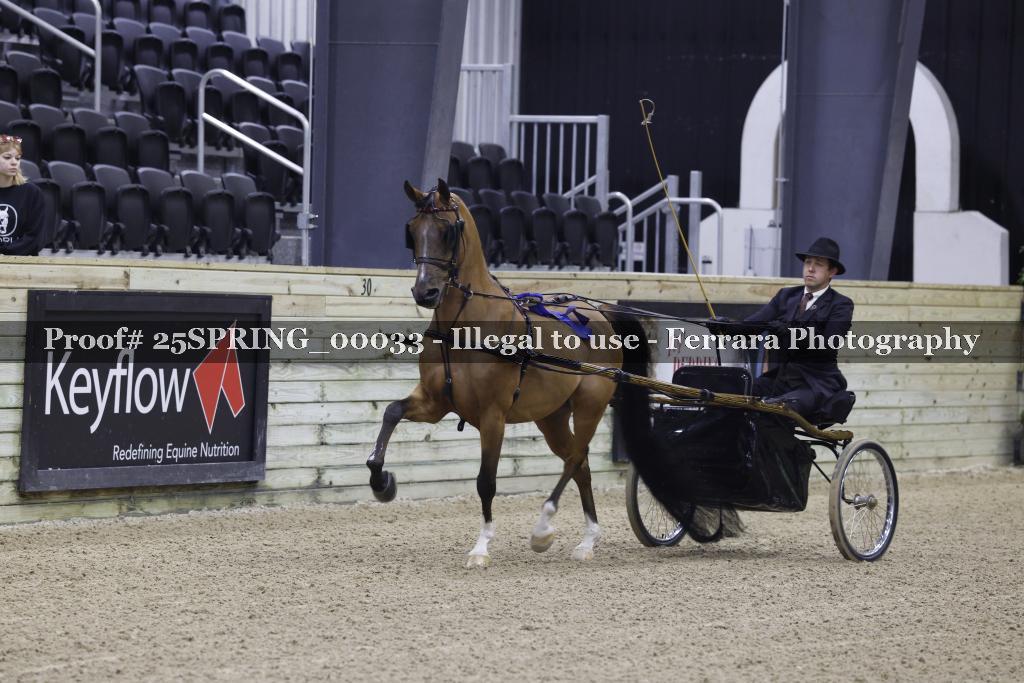 Proof 25SPRING_00033