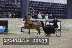 25SPRING_00035 proof