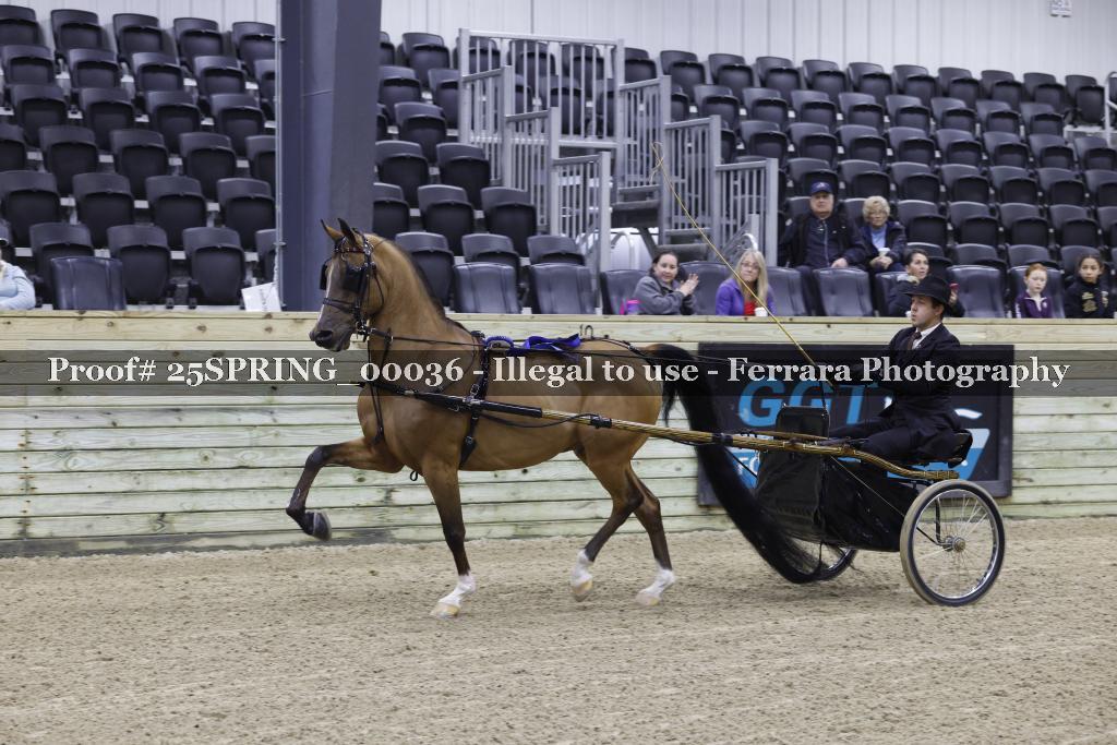 Proof 25SPRING_00036