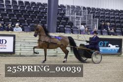 25SPRING_00039 proof
