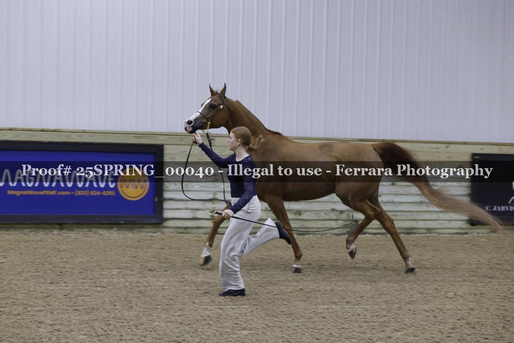 Proof 25SPRING_00040