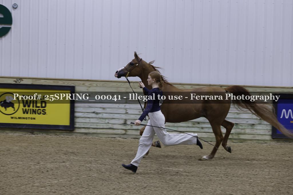 Proof 25SPRING_00041