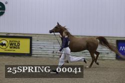 25SPRING_00041 proof