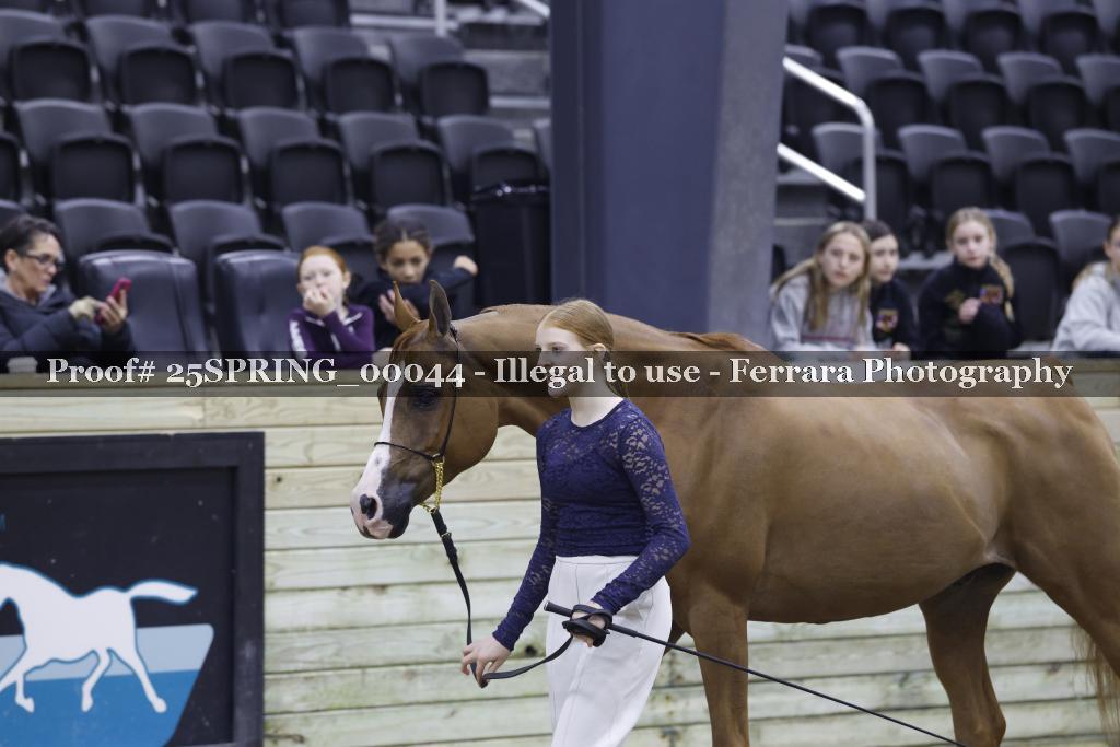 Proof 25SPRING_00044