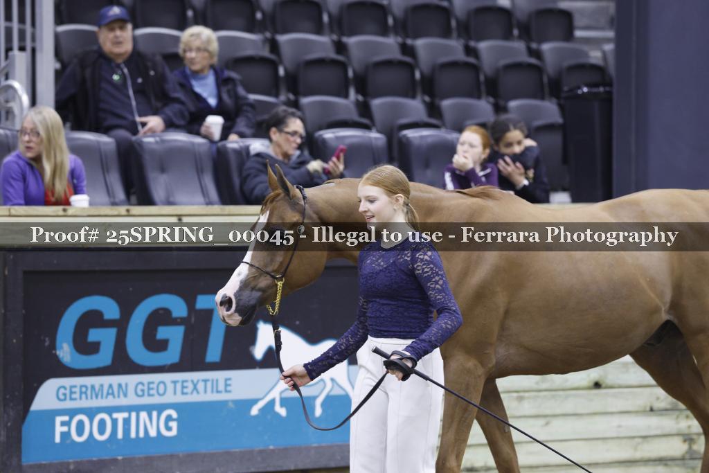 Proof 25SPRING_00045