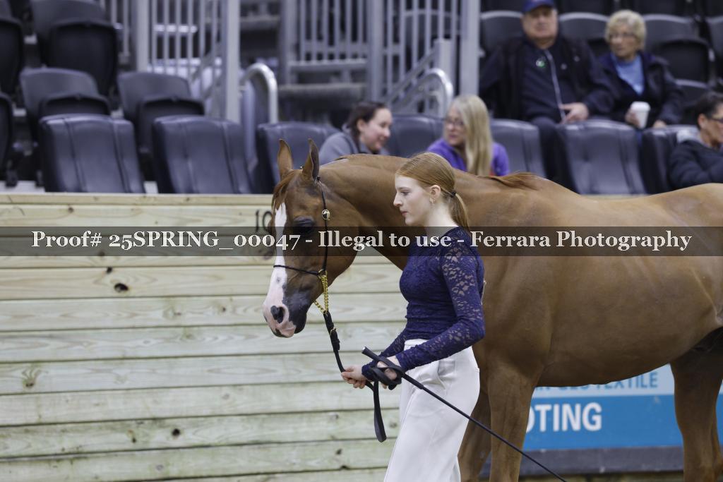 Proof 25SPRING_00047