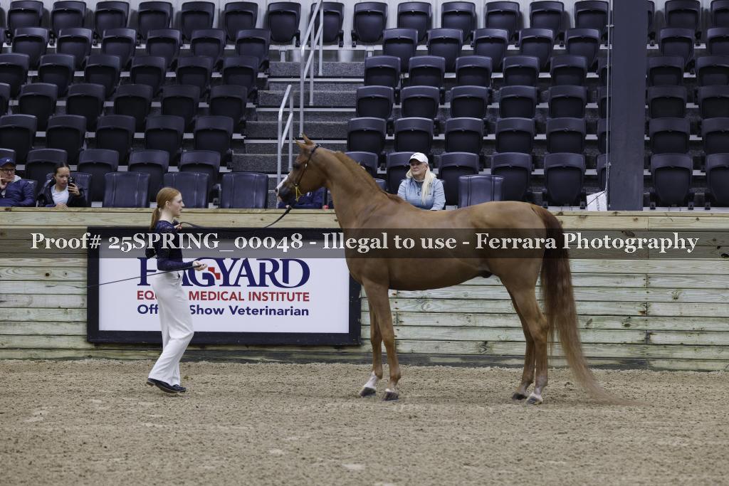 Proof 25SPRING_00048