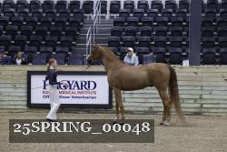 25SPRING_00048 proof