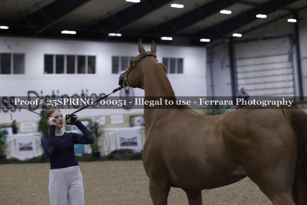 Proof 25SPRING_00051