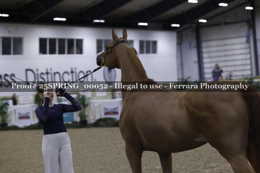 Proof 25SPRING_00052