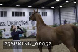 25SPRING_00052 proof