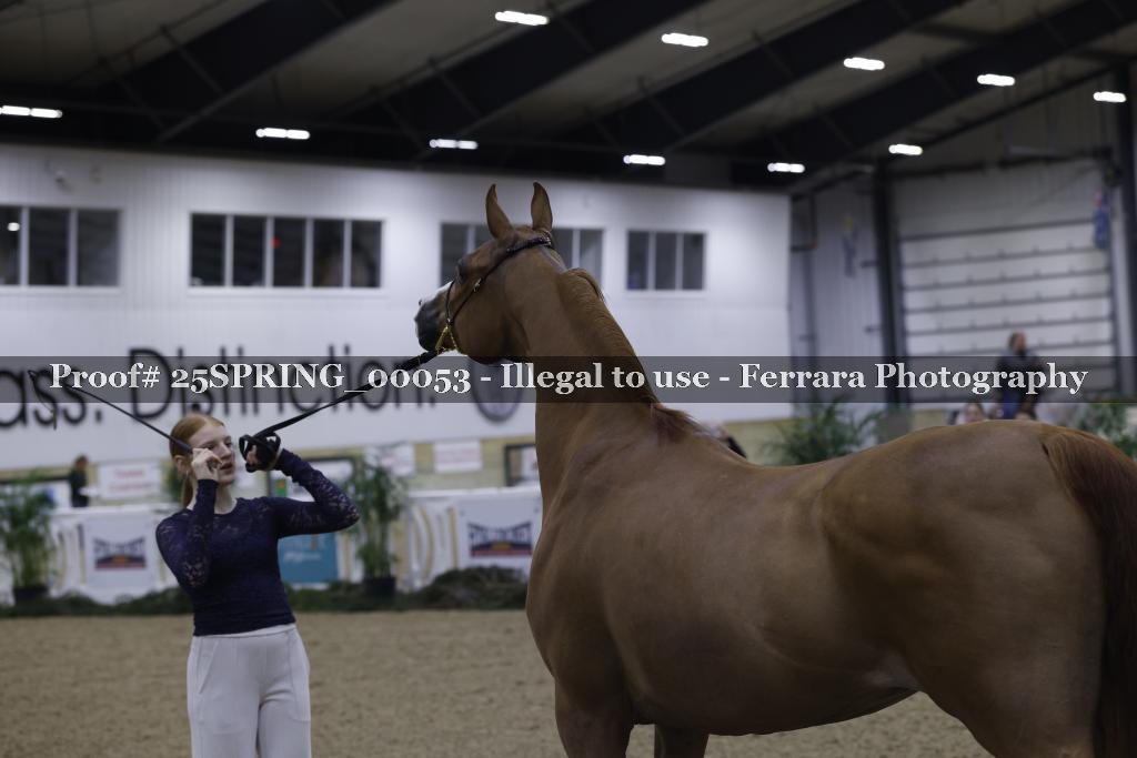 Proof 25SPRING_00053