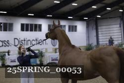 25SPRING_00053 proof