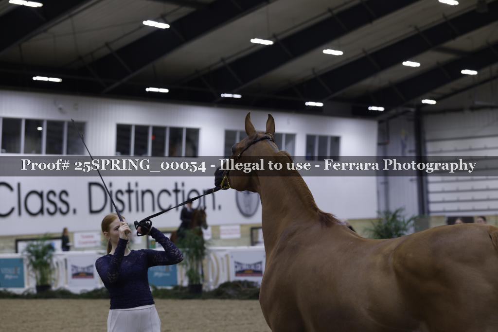 Proof 25SPRING_00054