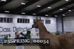 25SPRING_00054 proof