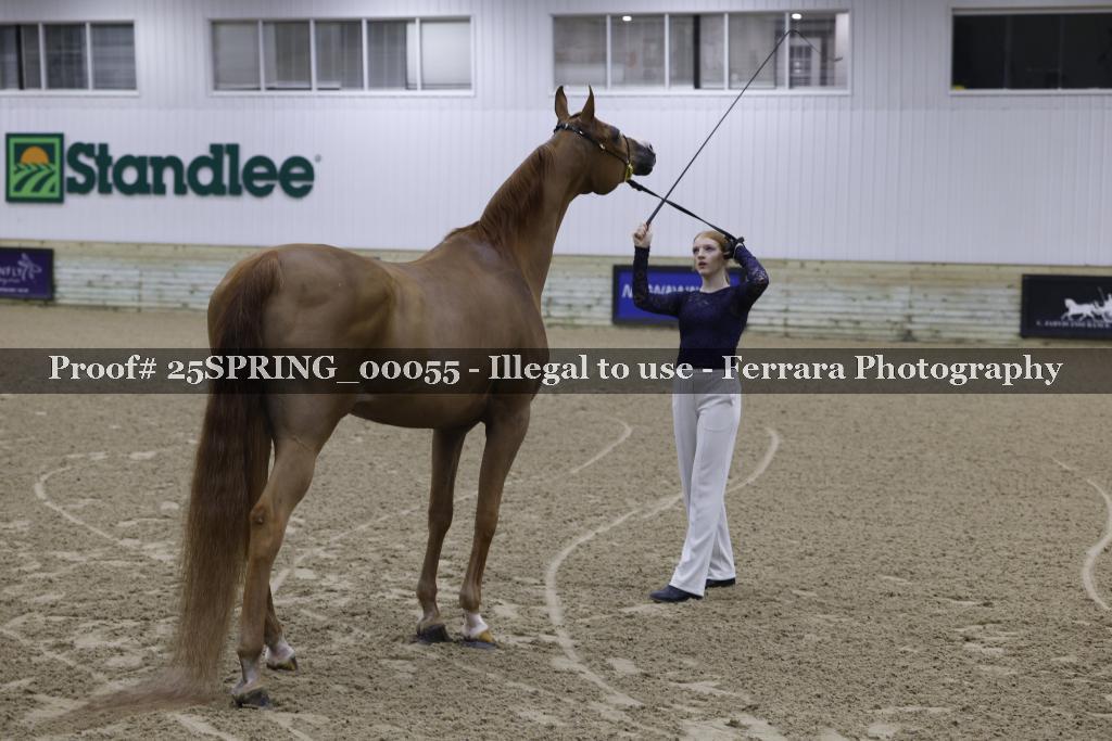 Proof 25SPRING_00055