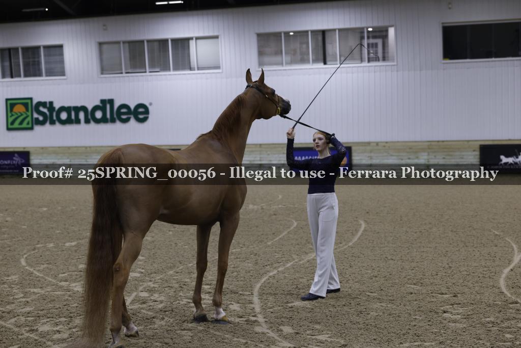 Proof 25SPRING_00056
