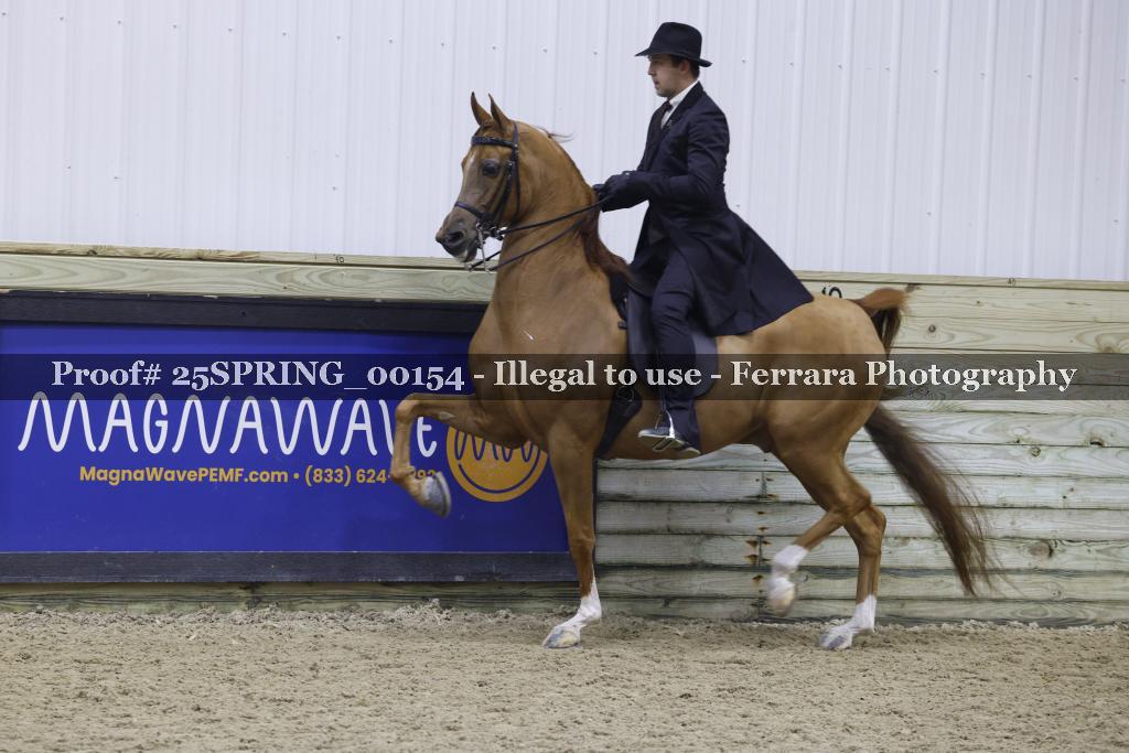 Proof 25SPRING_00154