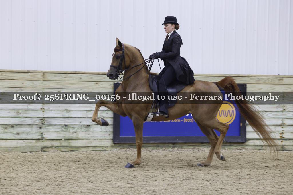 Proof 25SPRING_00156