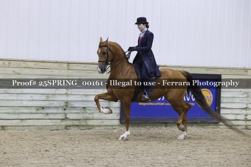 Proof 25SPRING_00161