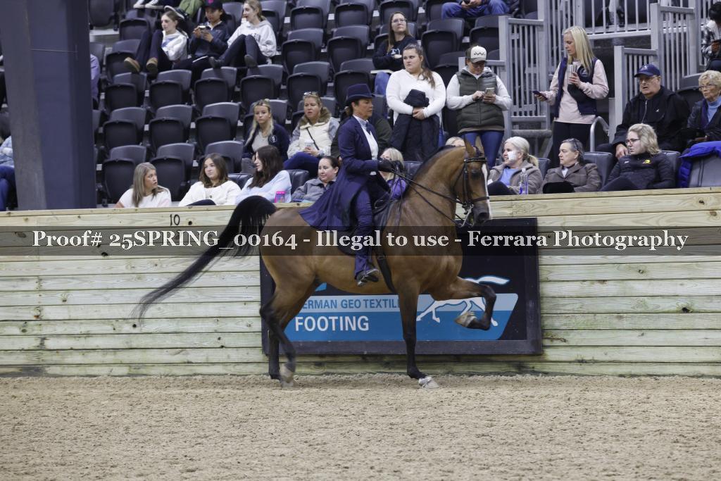 Proof 25SPRING_00164