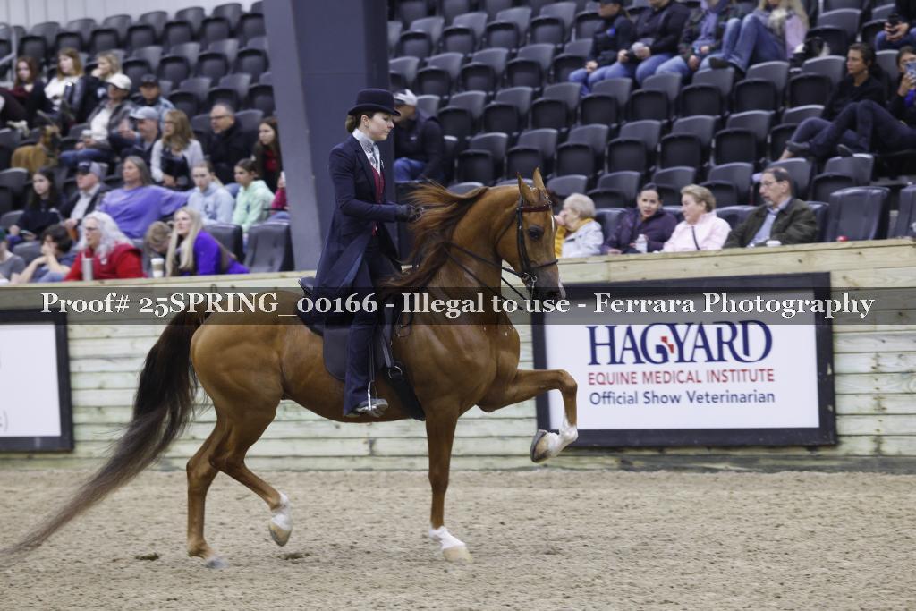 Proof 25SPRING_00166
