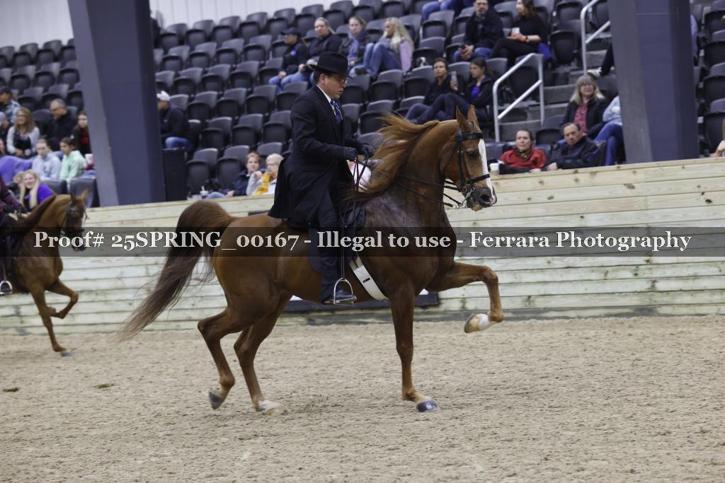 Proof 25SPRING_00167