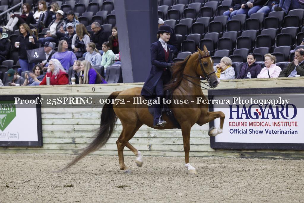 Proof 25SPRING_00172