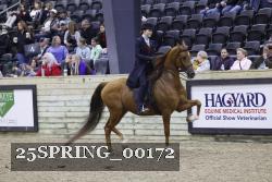 25SPRING_00172 proof